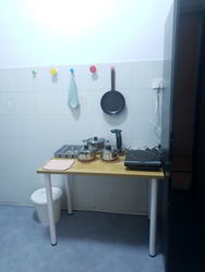 Tanjong Katong Road (D15), Condominium #540757361